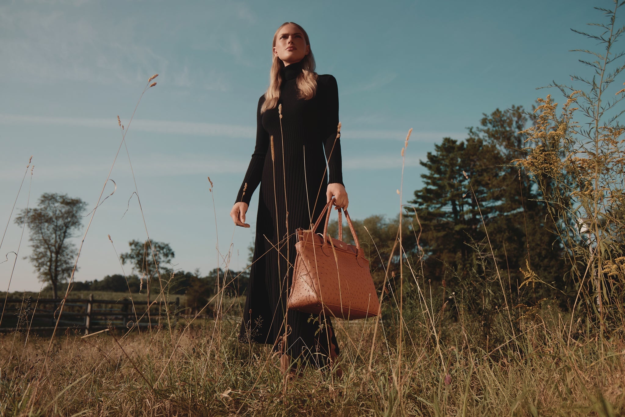Totes – etoile