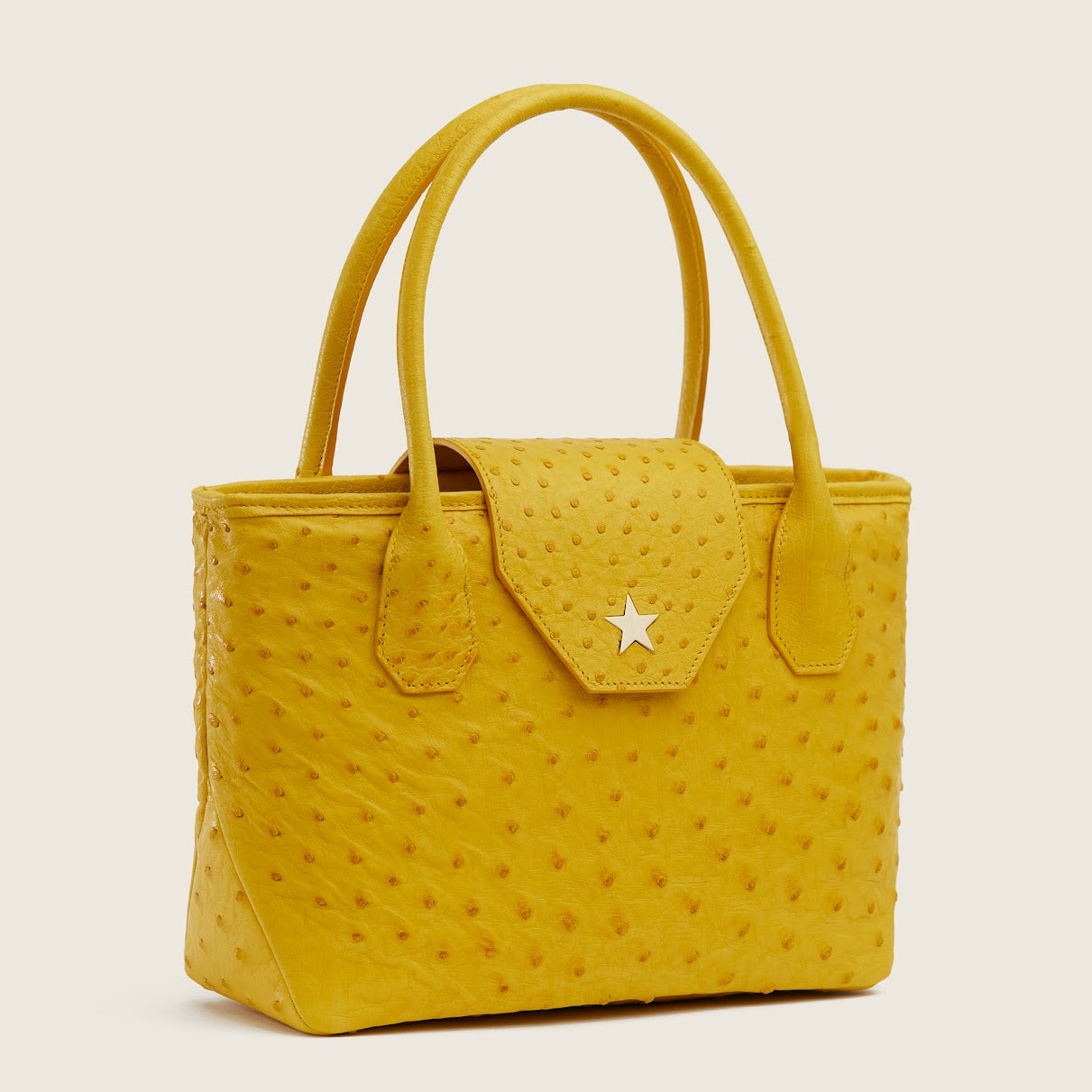 Zaneta / Tales From The Sun　メロハー LUCILLE MINI TOTE – etoile