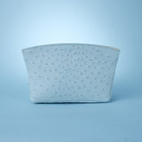 TAYLOR MINI CLUTCH